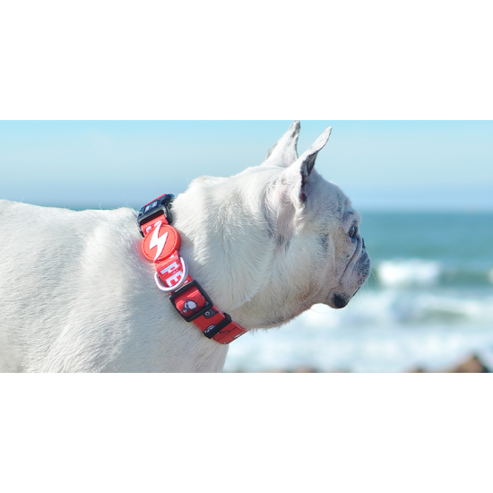 POPEYE COLLAR MEDIUM (DC00103)